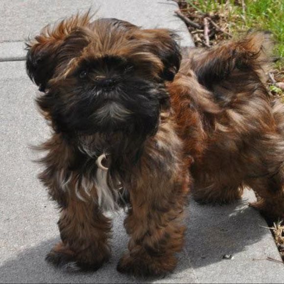 Meet your Posher, Paige - Picture 1 of 1